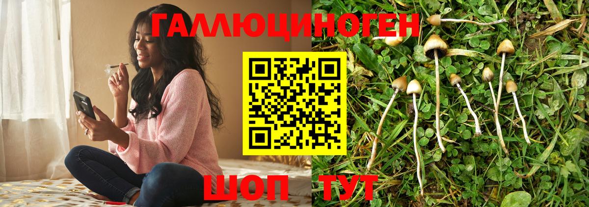 Псилоцибиновые грибы прущие грибы  Вход с VPN  Кудрово 