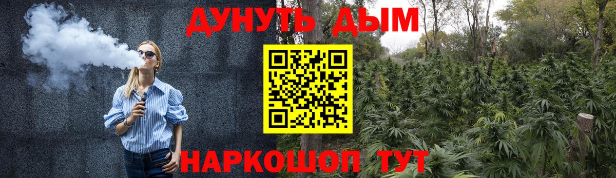 Конопля марихуана  МАРИХУАНА семена  МАРИХУАНА Bruce Banner  Шишки марихуана White Widow  Вход с VPN  Кудрово 